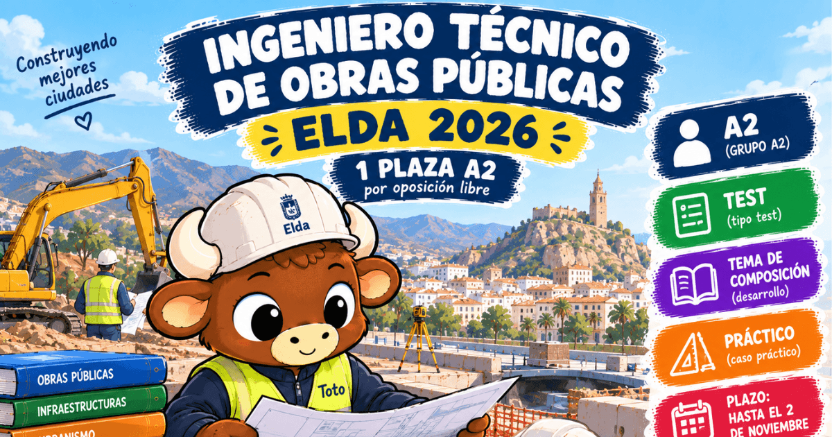 ingeniero tecnico de obras publicas