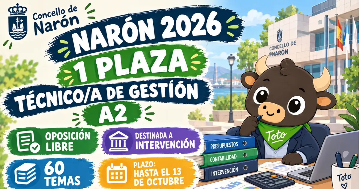 naron gestion