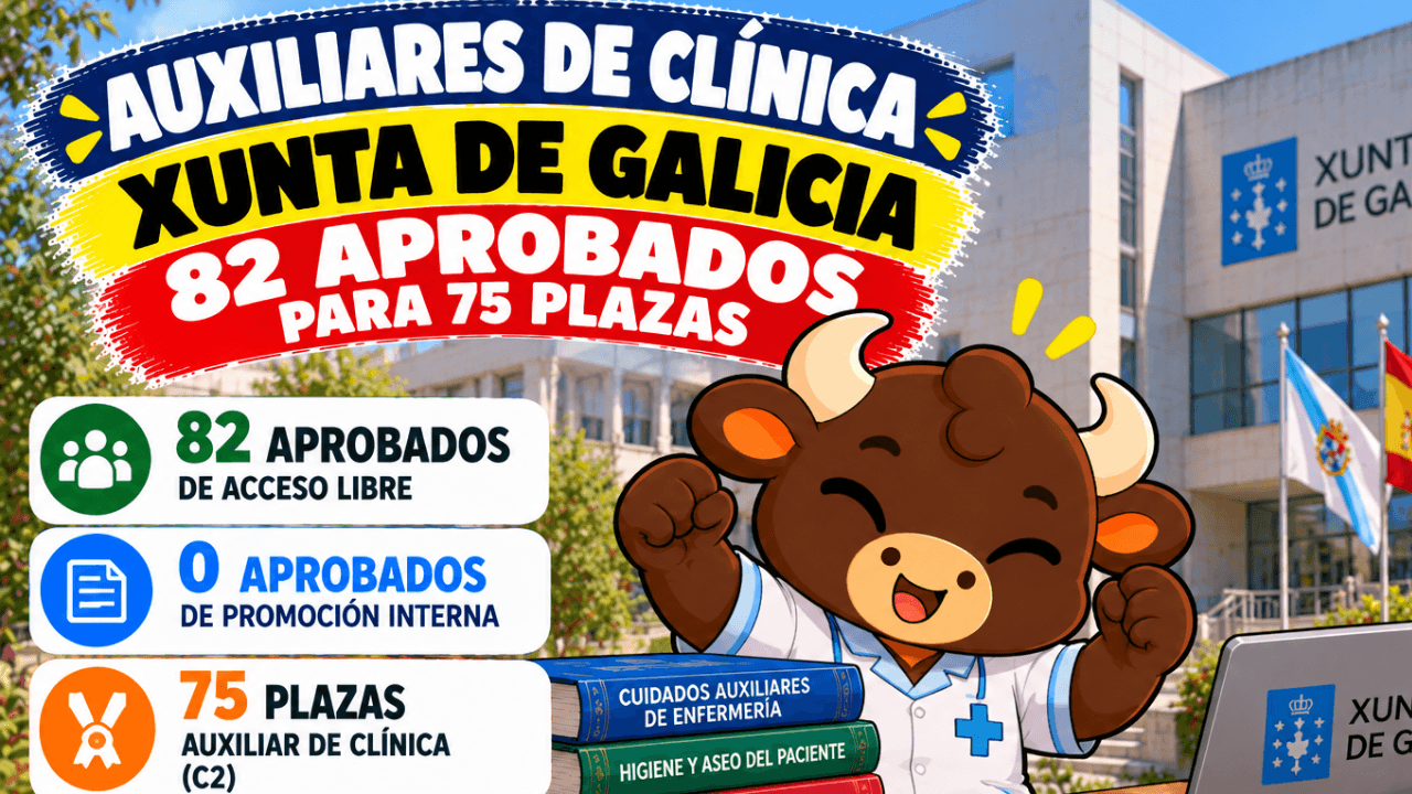 auxiliar clinica galicia notas